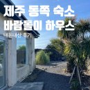 월정비앤비 | 비앤비 추천 | 바람돌이하우스 안거리 1박 후기 (스시...문어떡볶이, 월정 조용한 카페 앤 펍 용한이)