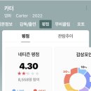 넷플릭스 카터 평점 이미지