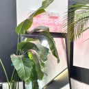 카페051 양산물금역점