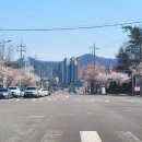 씨유 정읍스타점 | [광주 근교 캠핑장] 나주 죽산보오토캠핑장 솔캠 (플렉스돔)