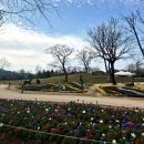 통일동산(4) 갈대광장 | 순천만국가정원 실시간 개화현황 입장료 동선 꿀팁 정보 총정리 3월 4월 순천여행