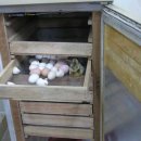 황금알 농장 이미지