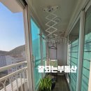마동-36 이미지