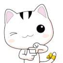 No1 카서비스 이미지