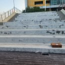 씨엔케이글로벌 이미지