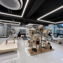 예뻐질:개&고양이카페 이미지