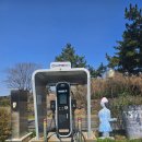 제주야 표선 | 한 끼 어랑어랑생선구이&amp;순살갈치조림 제주표선점 리얼 후기 ㅡ제주표선맛집 제주갈치조림 제주갈치구이