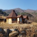 백둔리보건진료소 네이버블로그