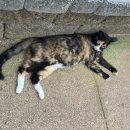 먹적골어린이공원 이미지