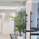 리즈밸짐 이미지