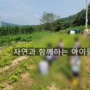 보리네숲어린이집 이미지