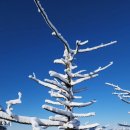 해피데이 이미지