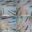 모락한의원 이미지