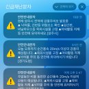 풍경캠핑장 | 파주 벚꽃 캠핑장 초리풍경 방문 후기(+쿠팡화로대)