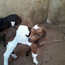 정생농장 이미지