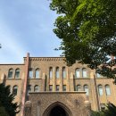 마지엔멀티 | [일본]삿포로 3박4일 여행 day4 홋카이도대학교 마지산도 후기 스스키노에서 신치토세공항 제주항공 7c1504