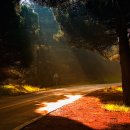 소나무 철물점 이미지