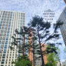 대림한숲공인중개사사무소 | 신혼부부 전세로 딱! 춘천 퇴계동 e편한세상 춘천 한숲시티 아파트 전세 3억2천
