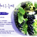 무주군(4종) 티스토리