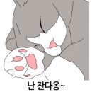 지경희동물병원 이미지