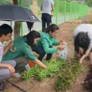 꿈여울 농장 이미지