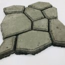 에코플랜트 노컷뉴스
