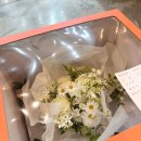 대전 icc 웨딩홀 본식 후기 (크리스탈볼룸홀) | 루아스포사 비즈드레스 | 아이엠워리 스냅 후기 (icc 제휴)