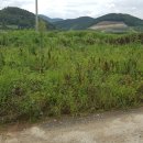 산서농장 이미지