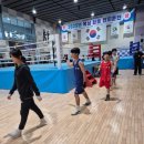 순천 엘리트복싱 이미지