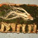 증평농협하나로마트 이미지