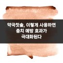 디자인더플랜 - 11780 | 약국칫솔, 이렇게 사용하면 충치 예방 효과가 극대화된다
