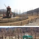 솔향기흙내음 이미지