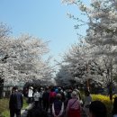 중랑천육교 이미지