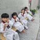 용인대 영웅태권도 이미지