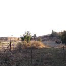 장자목장 이미지