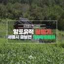 국곡리 고인돌 이미지