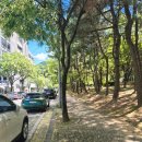 관동고분공원 앞 이미지