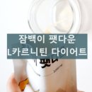 팻다운핏 | 잠백이 팻다운 L 카르니틴 다이어트 효과 성분 내돈내산 후기 부작용