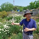 (주)알카메디 이미지