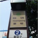 둘레길국수