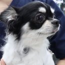 연이 메디칼 이미지