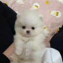 아이이뻐 이미지