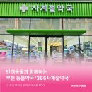365사계절약국 네이버블로그