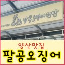 팔공오징어 이미지