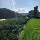 진주1987
