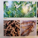 삼백초한의원 이미지