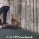 부산낚시 이미지