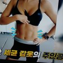 우리 몸의 면역 방어선 사수하라!/홈트 대통령 너튜브 면역력 비법/몸속 보일러를 켜라/초유 락토페린/기치유센터 이미지