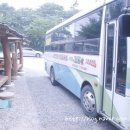 도리돈 이미지