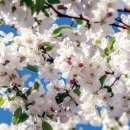 일상의 작은변화 이미지